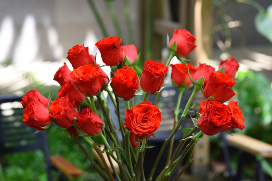 A bouquet of vibrant red roses with lush green stems and leaves, arranged together and wrapped in clear cellophane. The roses are in full bloom with delicate, layered petals and a slightly ruffled tex