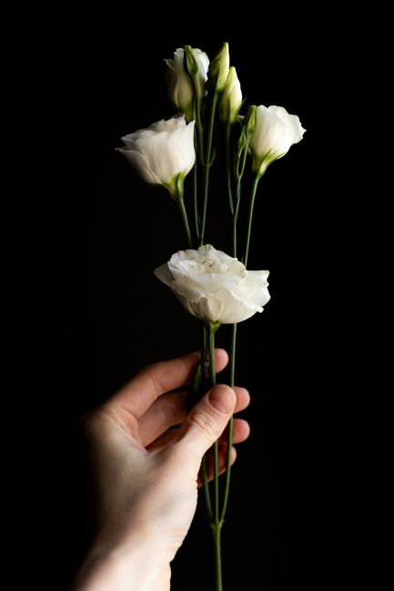 A person's hand holding a small bouquet of white flowers, including lisianthus and possibly eustoma, with delicate, ruffled petals and green stems. The bouquet is arranged simply, with the flowers tie