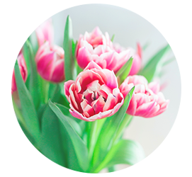 Same day Flowers Enfield Town 